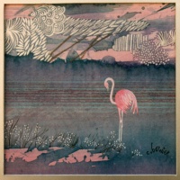 ??? - Le flamand rose ??? - Le flamand rose